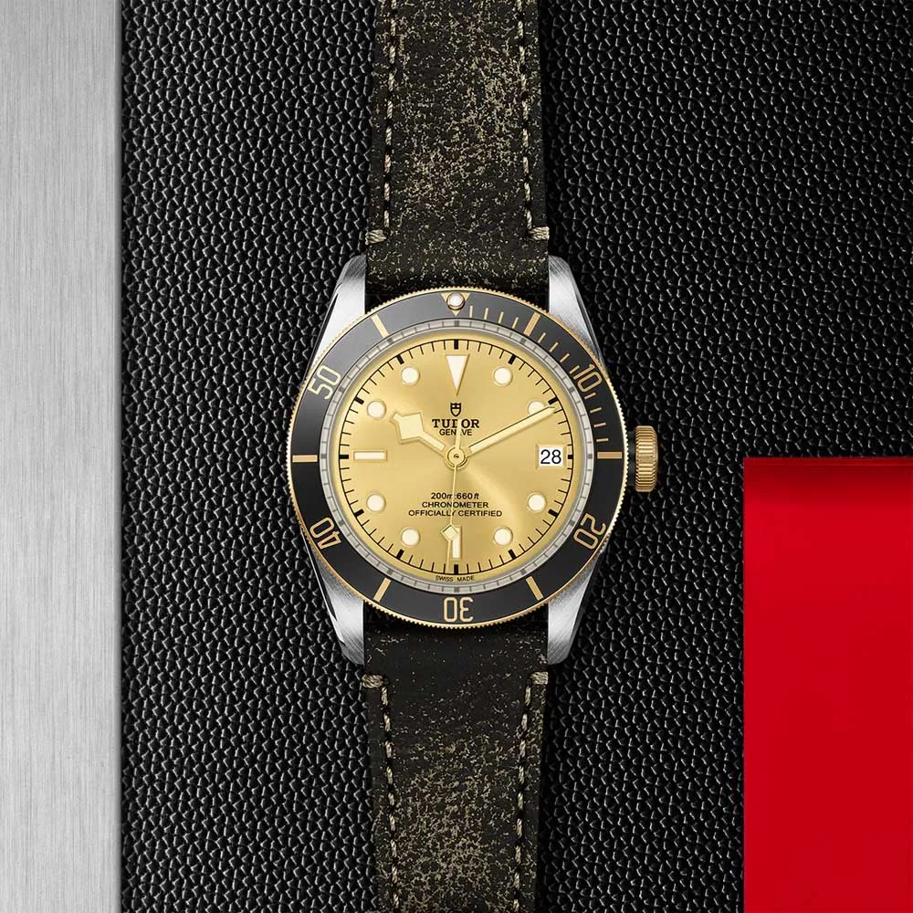 BLACK BAY S&G 41MM STEEL AND GOLD