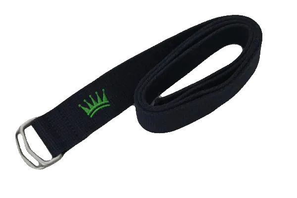 Designers on a Dime Dark Blue Canvas Belt SKU 000158