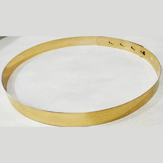 Golden Metallic Saree Belt