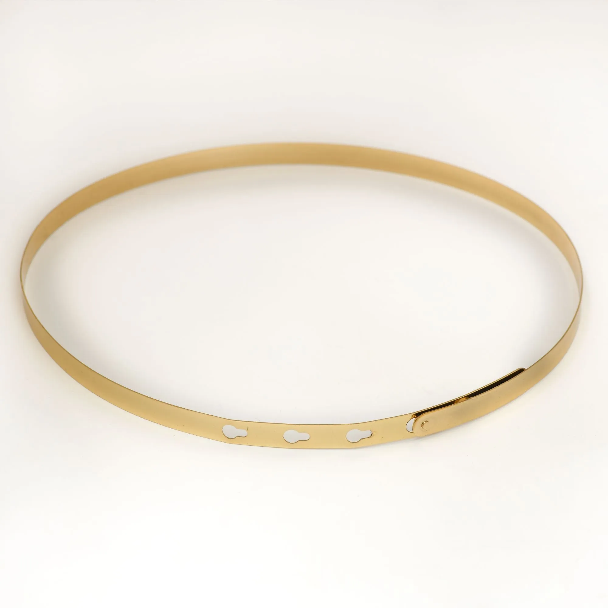 Golden Metallic Saree Belt
