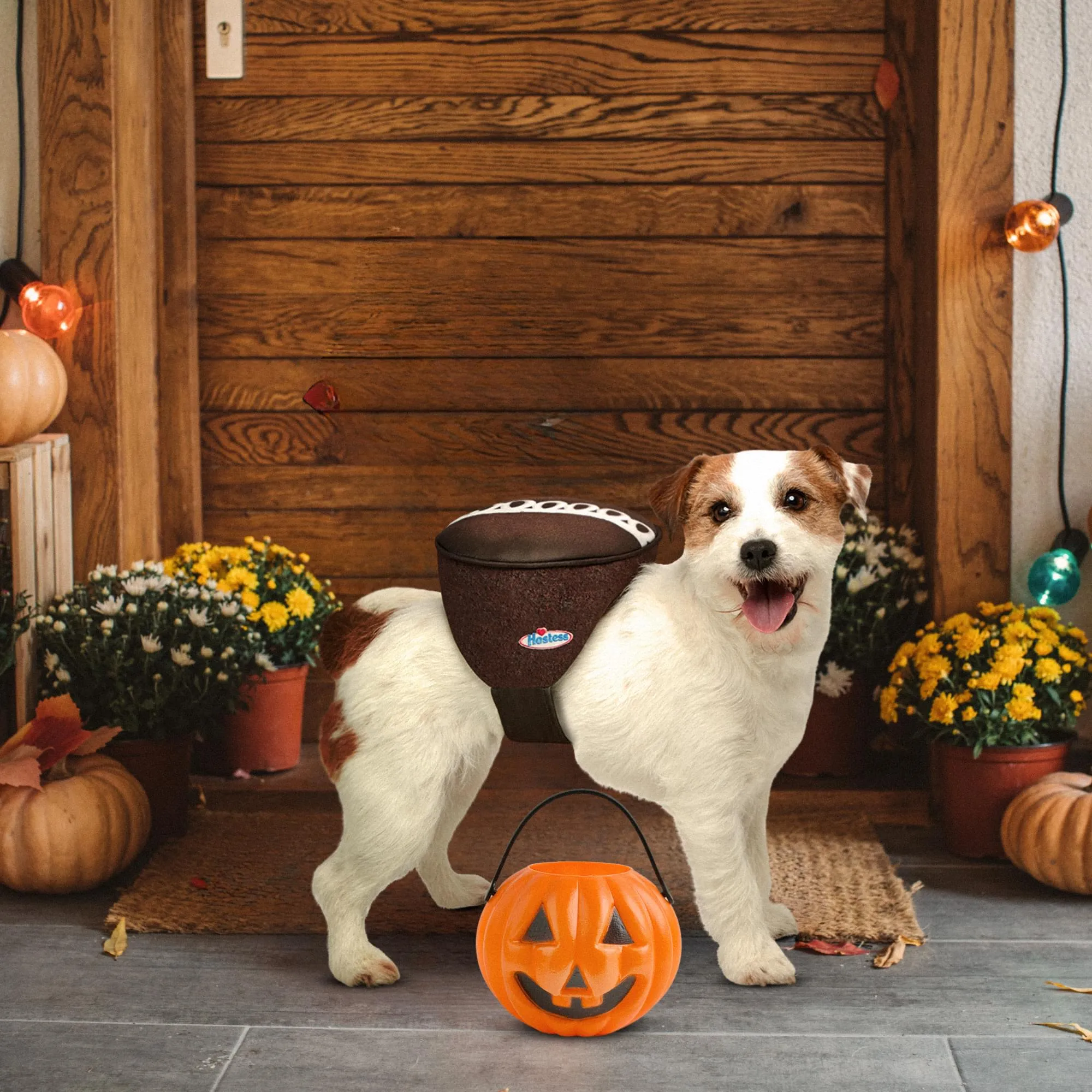 Hostess Cupcake Pet Costume
