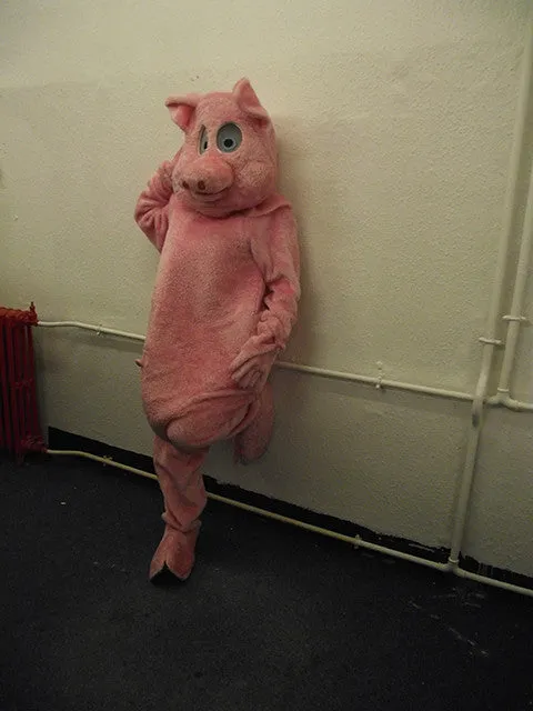 Pink Pig (HIRE ONLY)